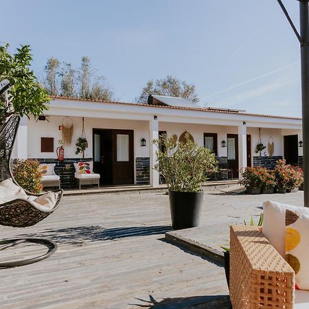 Vila Casa Relogio De Sol Lamego Exteriér fotografie